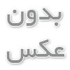 قیمت سگ پامرانین روباهی